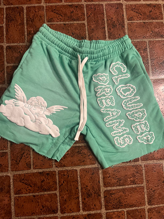 MINT GREEN "angelic shorts"